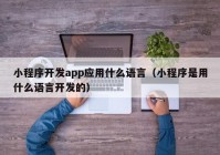 小程序开发app应用什么语言（小程序是用什么语言开发的）