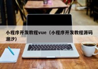 小程序开发教程vue（小程序开发教程源码潮汐）