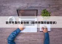 软件开发行业分析（软件开发行业现状）