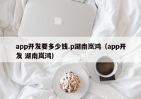 app开发要多少钱.p湖南岚鸿（app开发 湖南岚鸿）