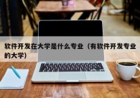 软件开发在大学是什么专业（有软件开发专业的大学）