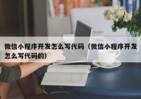 微信小程序开发怎么写代码（微信小程序开发怎么写代码的）