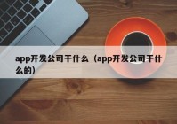 app开发公司干什么（app开发公司干什么的）