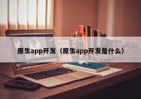 原生app开发（原生app开发是什么）