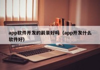 app软件开发的前景好吗（app开发什么软件好）