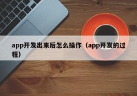 app开发出来后怎么操作（app开发的过程）