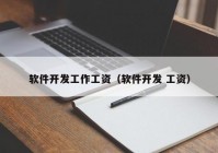 软件开发工作工资（软件开发 工资）