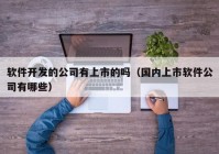 软件开发的公司有上市的吗（国内上市软件公司有哪些）