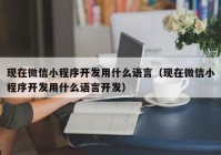 现在微信小程序开发用什么语言（现在微信小程序开发用什么语言开发）