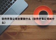 软件开发公司主要做什么（软件开发公司叫什么）