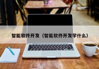 智能软件开发（智能软件开发学什么）