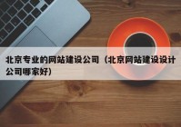 北京专业的网站建设公司（北京网站建设设计公司哪家好）